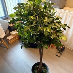 フェイクグリーン　大型の画像