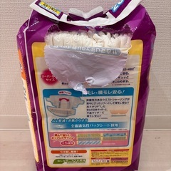 GOON スーパーBIG テープ止め紙おむつの画像