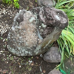 庭石　の画像