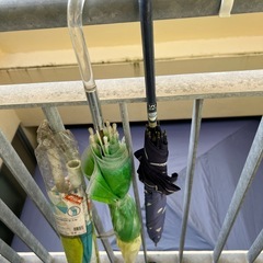 断捨離中　傘まとめての画像