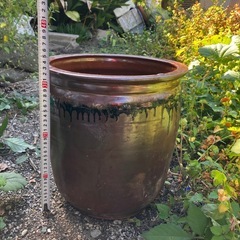 無料  常滑焼のかめの画像