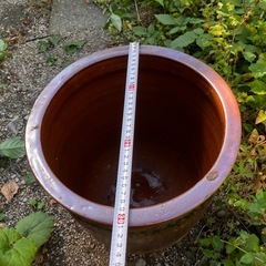 無料  常滑焼のかめの画像