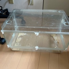 ハムスターゲージ③の画像