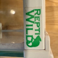 爬虫類　両生類　昆虫　ガラスケース　グラスゾーン　20㎝の画像