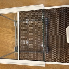 爬虫類　両生類　昆虫　ガラスケース　グラスゾーン　20㎝の画像