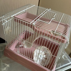 ハムスターのゲージ⑤
の画像