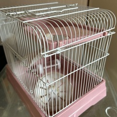 ハムスターのゲージ⑤
の画像