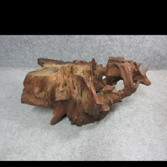 花台　木根　の画像