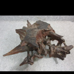 花台　木根　の画像