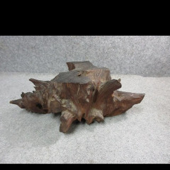 花台　木根　の画像