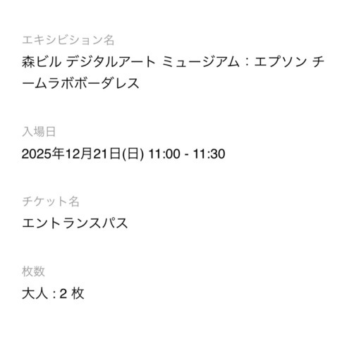 チームラボ　ボーダーレス　大人2枚