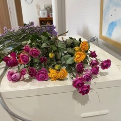 ドライフラワー製造機の画像