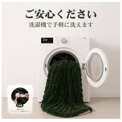電気毛布 ひざ掛け 電気ブランケット 厚手保温 5段温度調節 丸洗い可能の画像
