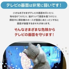 液晶テレビ43インチ用 保護パネル ブルーライトカット の画像
