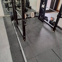 美品 EVOLGEAR（エヴォルギア） パワーラックの画像