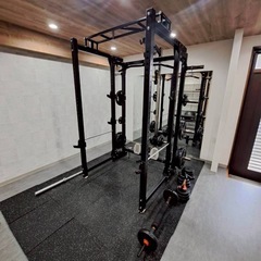 美品 EVOLGEAR（エヴォルギア） パワーラックの画像