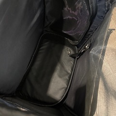 エアバギー　3wayペットリュック　の画像