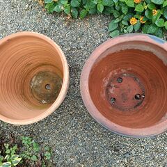 素焼き鉢（植木鉢）2個を無料でお譲りします。の画像