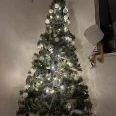 クリスマスツリー、お売りします。の画像