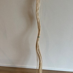 ニトリ　ドライウィローの画像