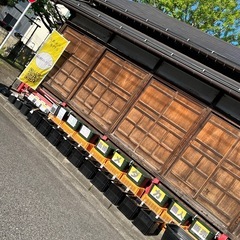 改良メダカ販売 販売パートナー募集中！ 無人販売 ネット販売 イベント出店 副業 在宅ワーク 業務委託 事業拡大 新規事業 独立 開業 パート アルバイト  めだかMEDAKAの画像