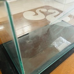 水槽　60cm×30cm×36cmの画像