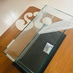 水槽　60cm×30cm×36cmの画像