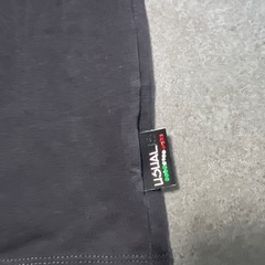 ウザリス チェリー Tシャツの画像