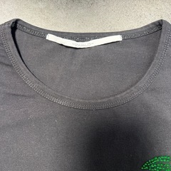 ウザリス チェリー Tシャツの画像