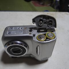 11/9★ニコン　ＣＯＯＬＰＩＸ　２１００の画像