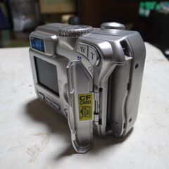 11/9★ニコン　ＣＯＯＬＰＩＸ　２１００の画像
