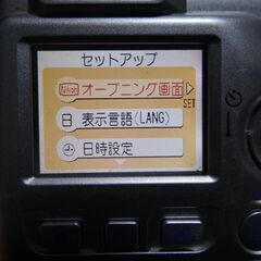 11/9★ニコン　ＣＯＯＬＰＩＸ　２１００の画像