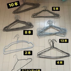 取り放題ハンガー計43本の画像