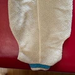 パタゴニアベストの画像