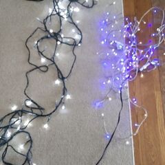 LEDライトをお庭に飾ってクリスマスを祝いましょう。の画像