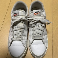 NIKEスニーカー29.0cmの画像