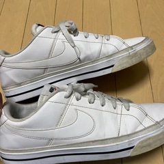 NIKEスニーカー29.0cmの画像