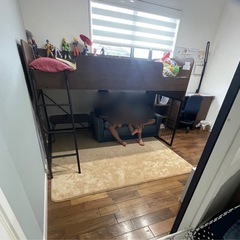 値下げしました! ニトリ ロフトベッドの画像