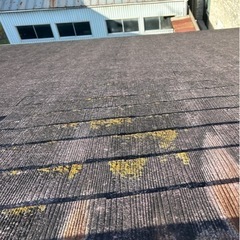 部分塗装もやってます✨