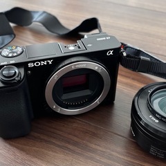 Sony α6000ミラーレス一眼カメラの画像