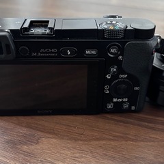 Sony α6000ミラーレス一眼カメラの画像