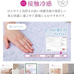 HAGIHARA ピターら 接触冷感のキルトラグの画像