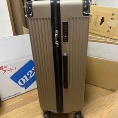 【未使用品】大型スーツケース、キャリーの画像