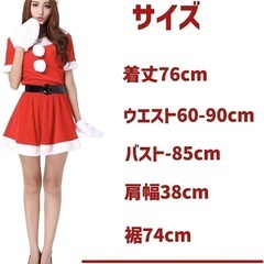 サンタコスプレ レディース 5点セット フリーサイズ 【網タイツ・手袋付き】の画像