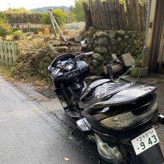 cj45a スカイウェイブ250 TYPE Mの画像