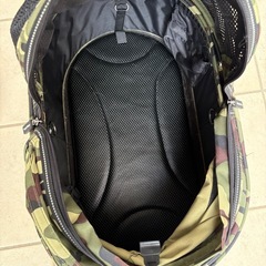 AirBuggy ペットカート　DOME2 ➕　ベビーカーの画像