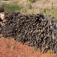 玉切り薪　クヌギ、白樫など
の画像