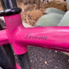 ブリヂストン レベナ18インチの画像