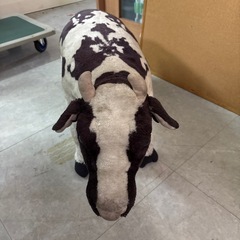 座れる、牛、オブジェの画像