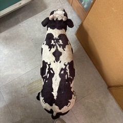 座れる、牛、オブジェの画像